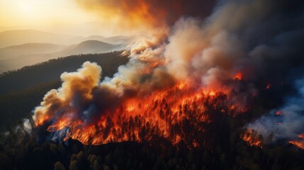Fototapeta na wymiar Great wildfire burning the a large forest, global crisis of climate change, protecting the world from global boiling crisis.