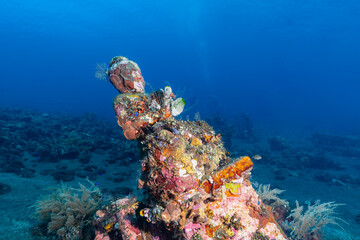 Naklejka na ściany i meble Underwater Statue Tulamben