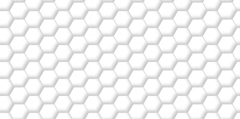 Abstract background with hexagon and white Hexagonal Background. Luxury White Pattern. Vector Illustration. 3D Futuristic abstract honeycomb mosaic white background. geometric mesh cell texture.