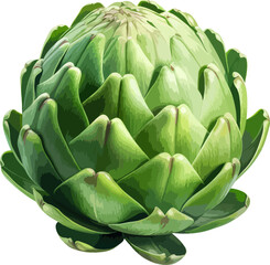 Artichoke clip art