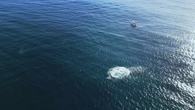Aerial footage of a little whale jumping out of water near to a moored boat in the middle of the sea
