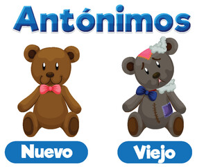 Spanish Word Card: Antonym Nuevo and Viejo