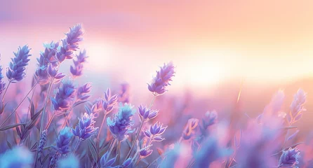 Rolgordijnen Dreamy Lavender Field at Sunset © Unitify