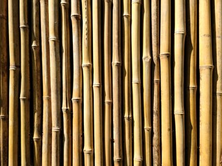 Yellow bamboo background texture, vertically - obrazy, fototapety, plakaty