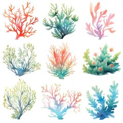 Fototapeta na wymiar Underwater Sea element in watercolor on the white background.