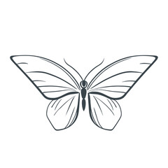 Butterfly symbolizing art design stock illustration