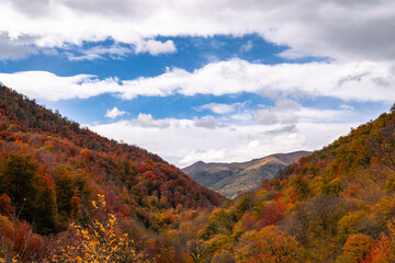 autumn landscape in the mountains