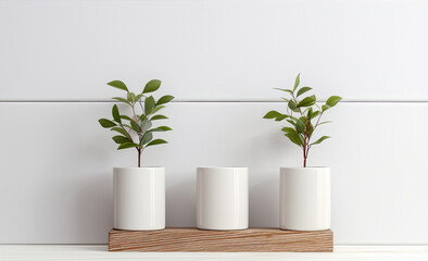 white jars with plants on the white background