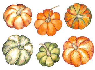 Watercolor Set of pumpkins. Ripe orange pumpkins isolated on white background. Watercolor handdrawn illustration. Hand made clipart. Set