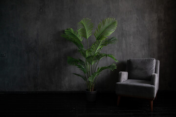 armchair and home flower in a dark room interior
