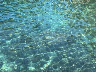Sea water clear surface with algae at the bottom.