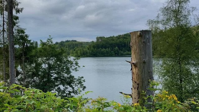 Forest on the bank of a large lake aggertalsperre cloud movement cloudy sky