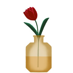 tulip in vase