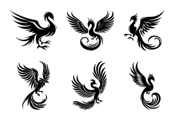 set of vector illustrations of phoenix birds on isolated background - obrazy, fototapety, plakaty