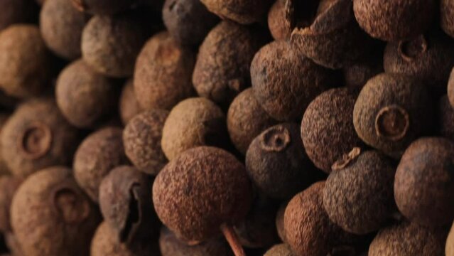 black allspice peas, rotation in circle. Spices Turning. selective focus. vertical video 