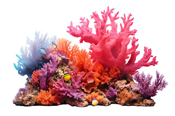 Fototapeta na wymiar Coral Reef Formation on transparent background.