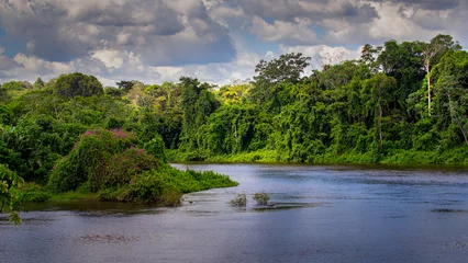 Foto auf Leinwand Paloemeu or Palumeu is an Amerindian village in the interior of Suriname,  © Rene