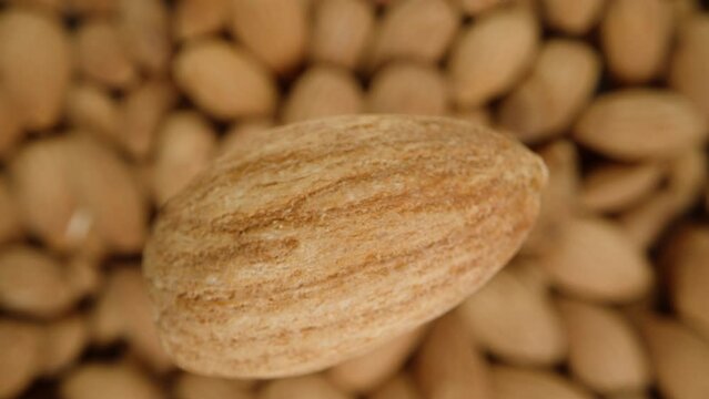 Fried Almond, spinning, falls into the rest of the pile of nuts, in super slow motion. Macro zoom.