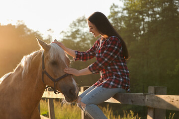 Beautiful woman with adorable horse outdoors. Lovely domesticated pet