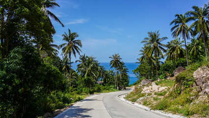 Koh Tao island landscape street view on the sea and palm trees in Koh Tao island, Thailand © SandyHappy