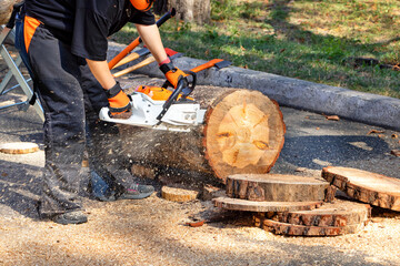 A woodcutter cuts a thick log into thin slices with a chainsaw.