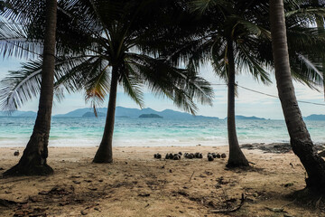 Tropical beach. Panorama of idyllic tropical beach with palm trees, white sand and turquoise blue water.