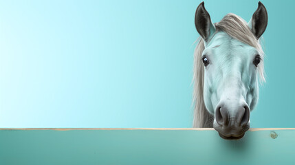 head of a horse in blue - obrazy, fototapety, plakaty