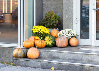 Large ripe pumpkins with autumn chrysanthemums on the stone steps of the porch of the house.