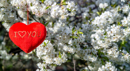 A symbol of love among the branches of a blooming cherry tree
