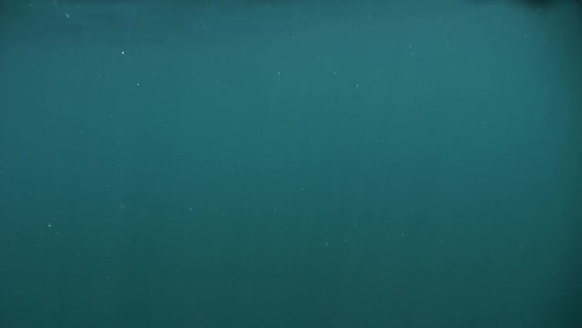 Slow-motion capture of diving beneath and then reemerging from mildly rough sea waters on a sunlit day.