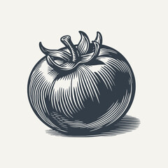 Tomato. Vintage woodcut engraving style vector illustration.
