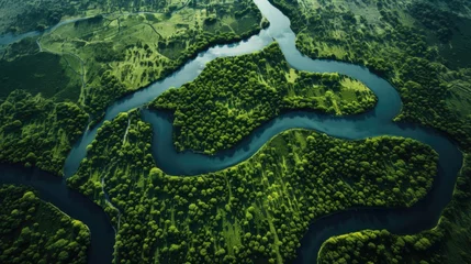 Fotobehang Bird s eye perspective of river bend in delta s lush greenery © vxnaghiyev