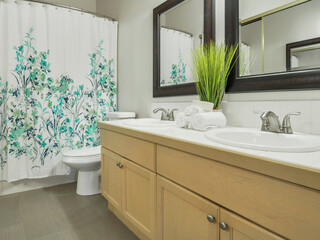 Modern residential bathroom interior