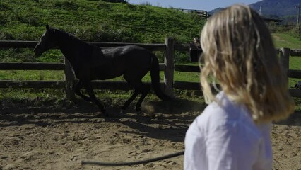 Woman domesticating black horse in a ranch pen. Cowgirl training horse in an enclosure