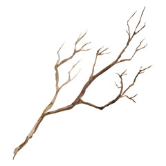 Obraz premium Watercolor illustration of dry tree branches isolated on a white background. rune drawing