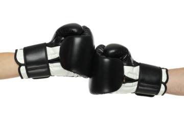 PNG, boxing gloves, isolated on white background