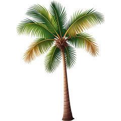 Fototapeta na wymiar Tropical coconut palm tree