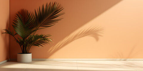 Empty space with palm shadow background