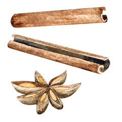 Watercolor illustration of cinnamon and anise. Hand drawn spices