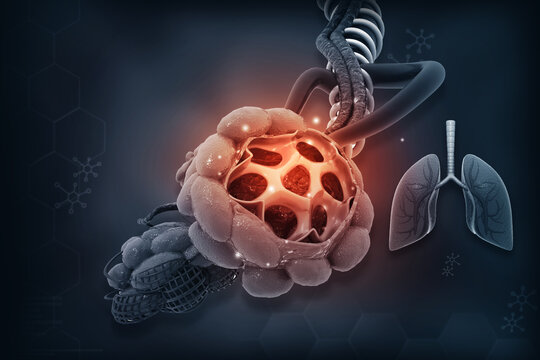 lungs alveoli on blue color background. 3d illustration.
