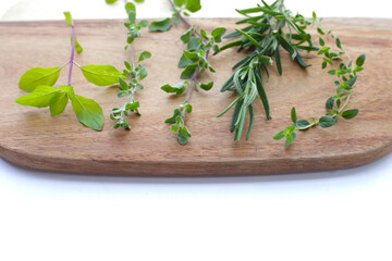 Fresh herbs on white background.