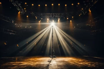 Rolgordijnen Concert stage with a microphone in the light of spotlights. Performance © Vovmar