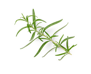 Obraz premium Sprig of fresh rosemary isolated on white, top view