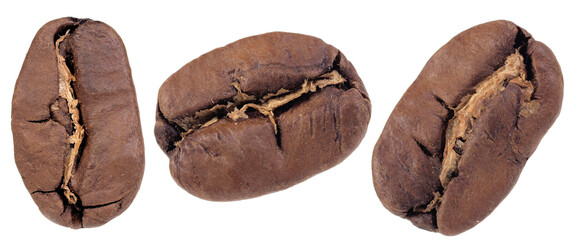 Coffee beans isolated