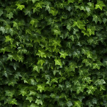 Photo-realistic seamless pattern of ivy growing on a wall