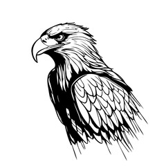 Hand drawn sketch of an eagle. Vector illustration drawn by hand