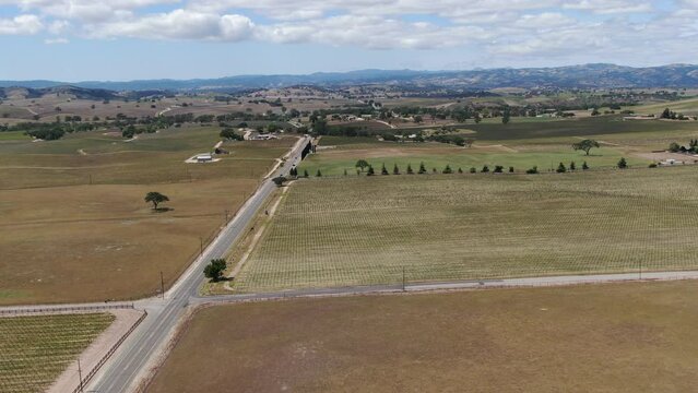 California Wine Country Paso Robles Vineyard Aerial Shot Road Forward