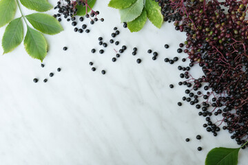 Clusters fruit black elderberry with green leaves on a white marble background (Sambucus nigra)....