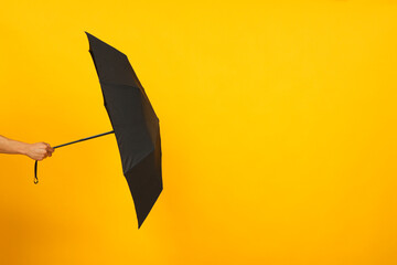 The main attribute in rainy weather - umbrella