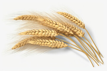 Wheat Ears Are Displayed On Transparent Background